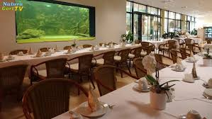 Naturagart Tv Essen Trinken Und Feiern Im Naturagart Park Gastronomie Im Park