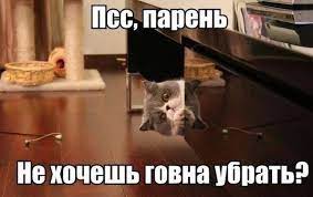 Не хочешь говна убратьР / картинки :: говно :: котэ (прикольные картинки с  кошками) / смешные картинки и другие приколы: комиксы, гиф анимация, видео,  лучший интеллектуальный юмор.