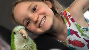 Why This Quaker Parrot Was Deemed UNADOPTABLE 💔