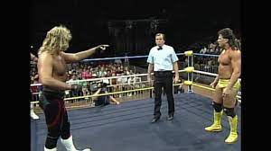 Terry bronson van hammer vs. The Wrestling Insomniac The Fabulous Freebirds Unique Wcw Championship Reign