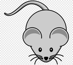 See more ideas about sketches, animal drawings, rat tattoo. Mouse Free Content Black Rat Fat Cat White Face Png Pngegg