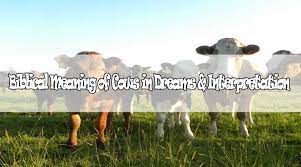 Biblical Meaning Of Cows In Dreams Interpretation Dream Interpretation Dream Biblical
