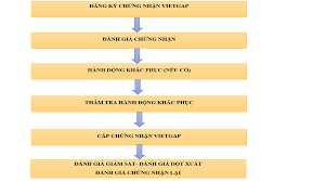 Chứng nhận VietGAP là gì và 4 lợi ích cốt lõi không thể bỏ qua - PAMV