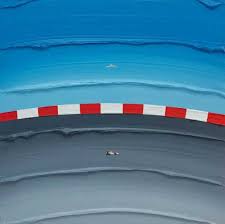 Image result for Medium Water Blue 1991 Monaco