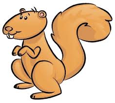 What kind of squirrel runs with an acorn? Easy Cute Cartoon Squirrel Drawing Novocom Top