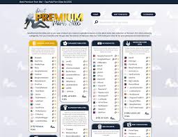 Best Premium Porn Sites - Babepedia Blog