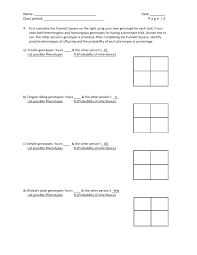 Punnett squares worksheet use punnett square to answer the following questions. Mendelian Traits Activity