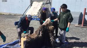 Mildred Hall Hide Camp