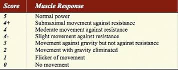 I Love Physical Therapy The Mrc Scale For Measuring Muscle