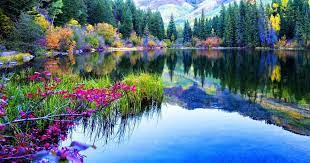 Kumpulan gambar pemandangan alam indah mempesona stuff to buy source: Menakjubkan 30 Pemandangan Alam Kualitas Hd Download Gambar Pemandangan Alam Danau 1770 Gambar Pemandangan Download Gambar A Pemandangan Gambar Alam Danau