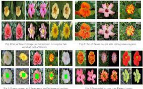 Older, outer leaves of seedlings appear healthy for a few days, and those of perennials for a couple of weeks, but eventually they also wither and die. Pdf Classification Of Flowers A Symbolic Approach Y H Semantic Scholar