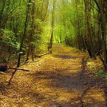 Local Obituaries from PraisePhilly and Tributes.com