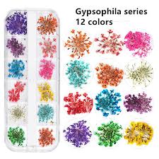 60pcs mix color nail art dry flower small natural dried flower nail jewelry nail supplies for professionals nails art dekor. Japanese Nail Dried Flower 12 Color Star Sun Flower Small Daisy 12 Color Dried Flower Boxed 24 Dried Nail Flowers Buy From 4 On Joom E Commerce Platform