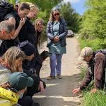 Wildlife Tracking Intensive - 5 day