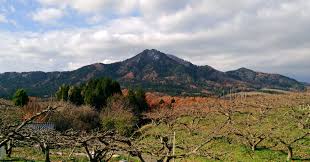 巻 高校 掲示板