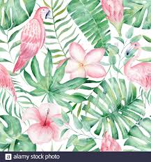 Tropische Regenwaldpflanzen Zeichnen Sich Durch Ein Nahtloses Muster Aus Plumeria Hibiskus Und Anthurium Mit Rosafarbenem Flamingo Und Papagei Dschungelwald Stockfotografie Alamy