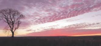 Coastal View Issue 137 by Coastal View and Moor News