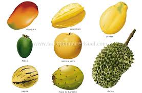 Dictionnaire Visuel Fruits Tropicaux Fruits Legume Exotique