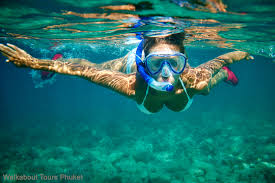 Check out amazing snorkeling artwork on deviantart. Dove Fare Snorkeling In Italia Magazine Dlt Viaggi