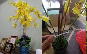 Maybe you would like to learn more about one of these? Bunga Orkid Hiasan Memang Mahal Nak Jimat Ni Cara Buatnya Keluarga