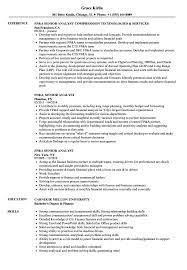 Provided financial support focusing on several areas including budgeting, planning, and analysis. Fp A Senior Analyst Resume Samples Velvet Jobs