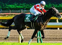 Последние твиты от ケイン・ヤリスギ「♂」 (@kein_yarisugi). ãƒžã‚¤ãƒ©ãƒ¼ã‚ºã‚«ãƒƒãƒ—2019äºˆæƒ³ è¿½ã„åˆ‡ã‚Š èª¿æ•™ã‹ã‚‰è¦‹ã‚‹å¥½èµ°å‚¾å' è¿½ã„åˆ‡ã‚Š èª¿æ•™ é‡è¦–ã®ç«¶é¦¬äºˆæƒ³ãƒ–ãƒ­ã‚°