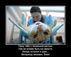 С праздником мастера и профессионалы! Ju Vvdqixcxinm