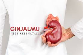 Seperti halnya keju tua, makanan yang diasinkan penelusuran yang terkait dengan penyebab sakit kepala bagian belakang sebelah kanan sakit kepala sebelah kanan belakang obat sakit kepala sebelah kanan. Ginjalmu Aset Kesehatanmu Sakit Punggung Hingga Mual Muntah Akibat Ginjal Bermasalah Atfg 8