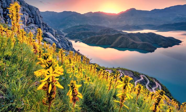 World Nature Conservation Day 2025: A healthy future for all - Earth.com