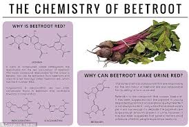 Why Asparagus Makes Your Urine Smell And Onions Make Your Cry Chemistry Beetroot Food Science