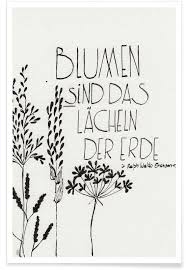 Blumen Sind Das Lacheln Der Erde Poster Blumen Zitate Blumen Spruch Spruche Garten