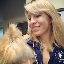 Vet Medicine: the greatest career