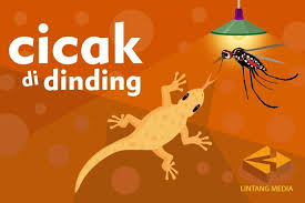 Check spelling or type a new query. Lirik Dan Chord Lagu Cicak Cicak Di Dinding Lagu Anak Populer