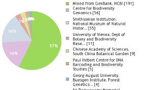 Image result for Memecylon torrei
