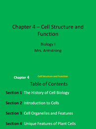 In addition, its functions and what an animal cell is. Chapter 4 Cell Structure And Function Ehsweb Endoplasmic Reticulum Cell Biology