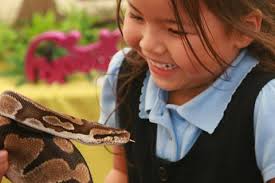 Reptile or Insect Encounter Hire in Ash: Compare 50+ options