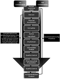 flow chart showing the hierarchy from herbal medicines to