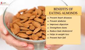 Diwakar Retail Ltd Dry Fruits Oil Spare Parts Fruit Benefits Almond Oil Uses Menthol Crystals