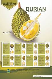 Di malaysia ada banyak jenis durian yang bisa ditemui, mulai dari musang king, d24, registered clone, hingga black thorn. Mams Mohdasrims Twitter