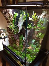 18x18x24 R Varadero Build Dendroboard Varadero Building Plant Growth