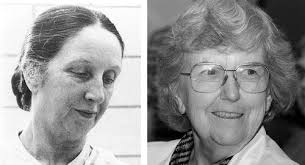 World health day observances in November 2022: pneumonia, chronic  obstructive pulmonary disease, preterm birth, and antimicrobial resistance  in focus