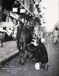 شايفين الصورة الطبيعية للحياة المصرية القديمة سنة 1945م كان الفلاح بيمشي في الشارع بالجاموسة بتاعته واللي عايز لبن يحلبله altes agypten agypten kairo agypten