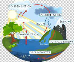 Water Cycle Diagram Png Diagram Drawing Ecosystem Diversity Evaporation Fotolia In 2020 Water Cycle Diagram Water Cycle Cycling Design