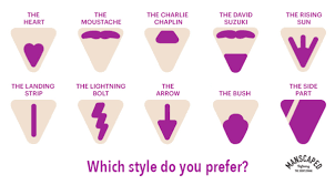 Especially the findings about men's pubic hair removal (a fairly new topic of study), and what people preferred in their partners, which hadn't been extensively covered before, according to one of. Male Pubic Hair Design Ideas