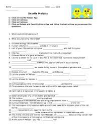 Start studying meiosis vocabulary matching sheet. Snurfle Meiosis And Genetics Answer Key Doc Template Pdffiller