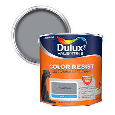 Peinture technique pour faire un vrai tableau sur lequel écrire : Peinture Murs Et Boiseries Dulux Valentine Color Resist Gris Ardoise Mat 2 5l Castorama