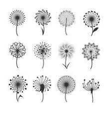 Set Of Dandelions Royalty Free Vector Image Vectorstock Dandelion Flower Floral Stock Images Dandelion Drawing