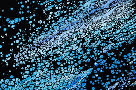 More images for background tumpahan cat » Royalty Free Blue Droplets Wallpaper Photos Free Download Piqsels