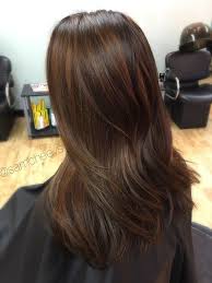 Chestnut brown hair is warm and very elegant, and it makes a woman look very classy. Pin On Hair
