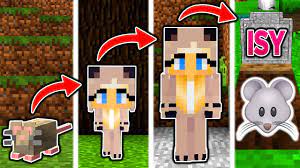 Isy Cheesy Lebenszyklus In Minecraft Von Maus Zum Madchen Youtube Aufbruch in eine neue welt! isy cheesy lebenszyklus in minecraft von maus zum madchen